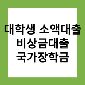Read more about the article 대학생 소액대출. 비상금대출. 국가장학금.